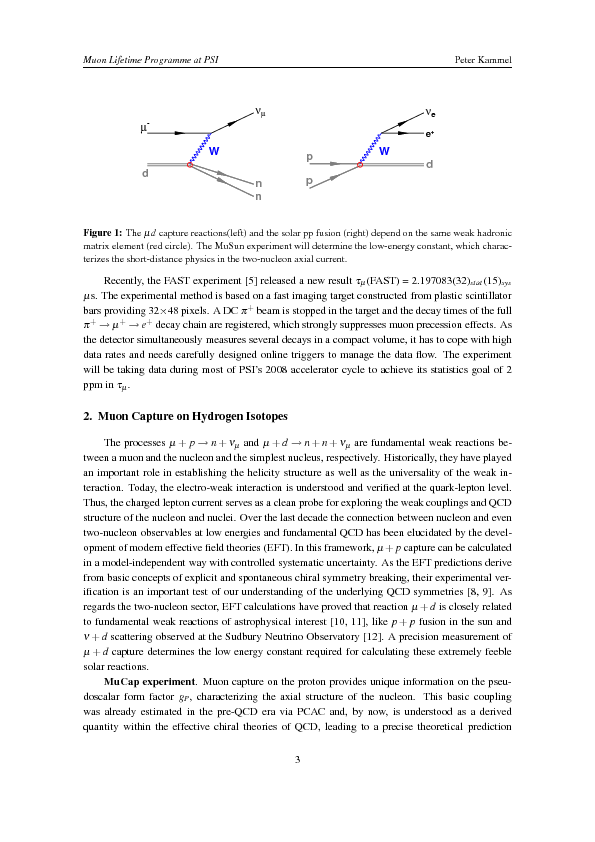 PeterKammel_NuFact08.pdf