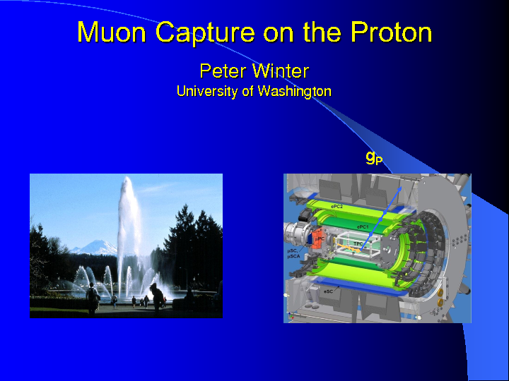 MuonCaptureOnTheProton.pdf
