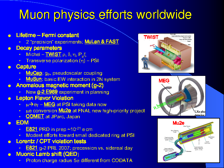 MuonCaptureOnTheProton.pdf