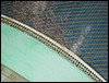 Dsc00005.jpg