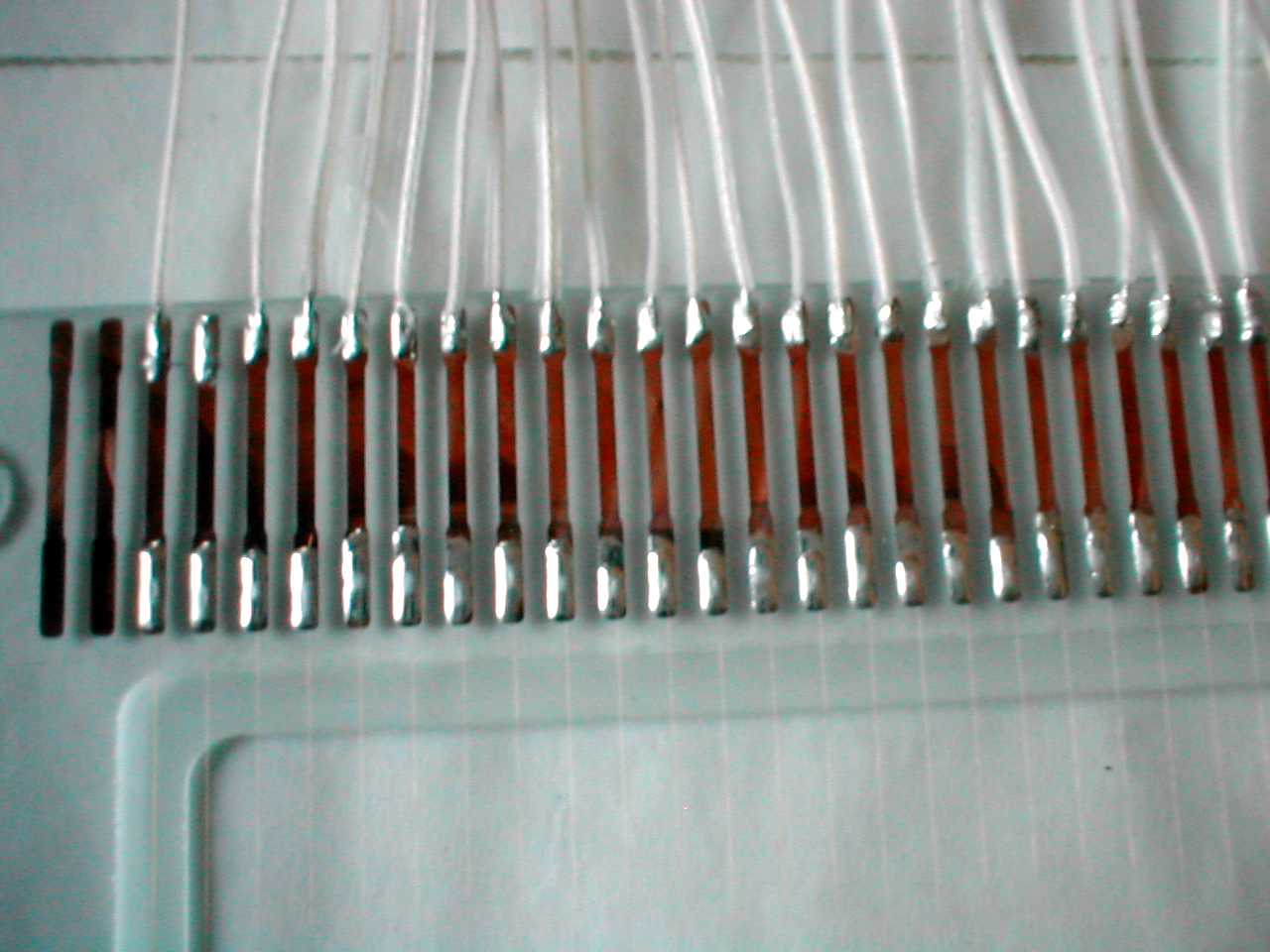 P1010055.jpg