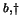 $^{b,\dag }$